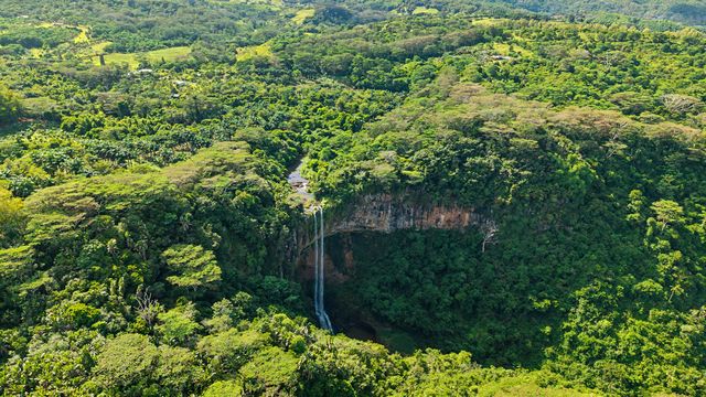 The Chamarel Waterfall plunging into the forested gorge
