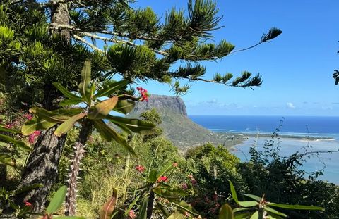 Viewpoint in Ebony Forest overlooking Le Morne and the lagoon