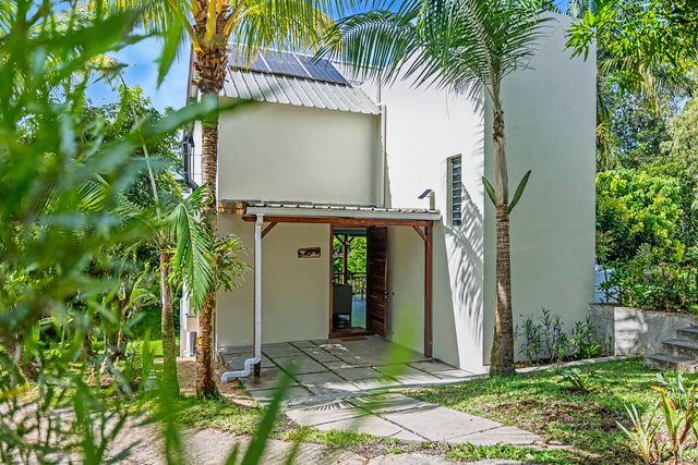The entrance framed by palm trees